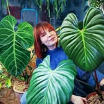 Ｃａｌｌ  ｍｅ  Ｂｌｏｏｍｉｓ