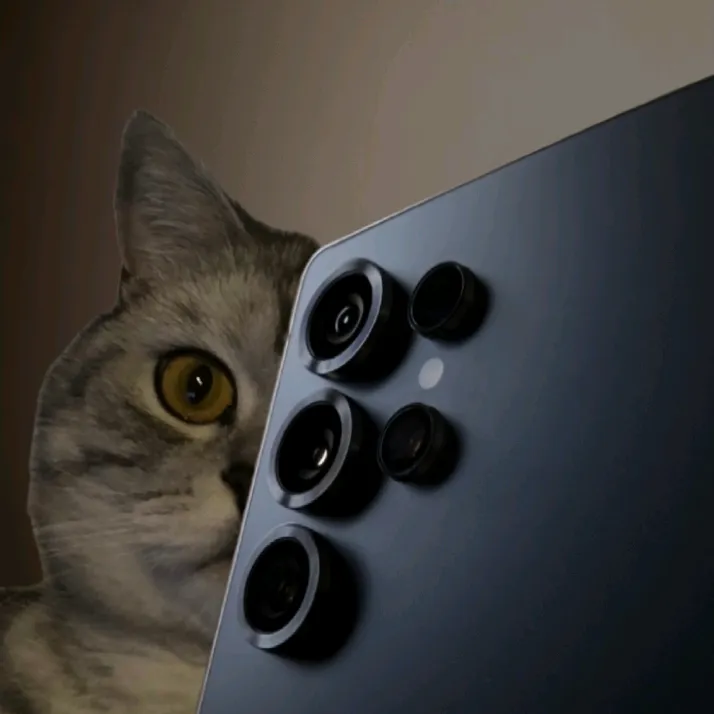 𝗗𝗲𝗿𝘁𝗶 𝗧𝗲𝗰𝗵