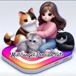 𝓜𝓲𝓵𝓵𝓲  𝓐𝓷𝓰𝓮𝓵 😻