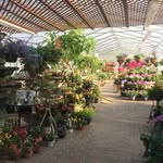Carol Watson Greenhouse