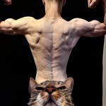 Heide | Gym | Cats