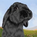 Hazel The Free Roam Bunny
