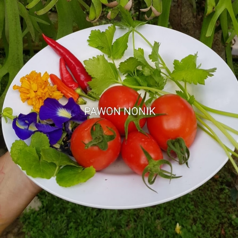 NUNUE GARDEN AND COOKING