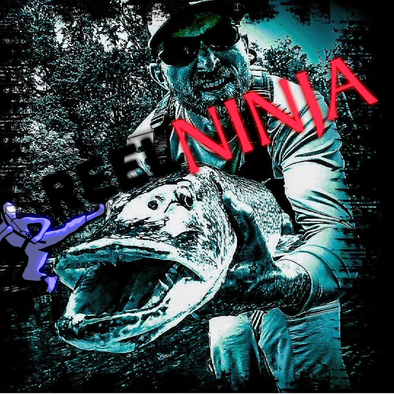 Reel Ninja
