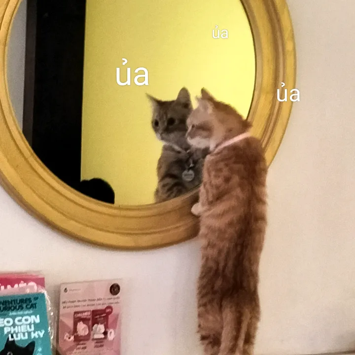 ᑎᗩ²⁰⁰⁴