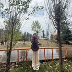 زینب مبشر
