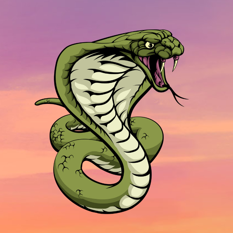 ChriSnake