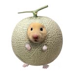 Pamela Lee Nur Shuhadah