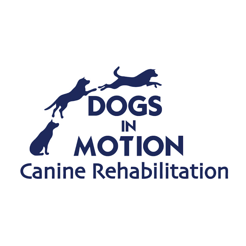 Dogs In Motion Canine Rehabilitation
