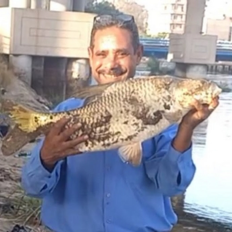 ابوعلاء الصياد 2