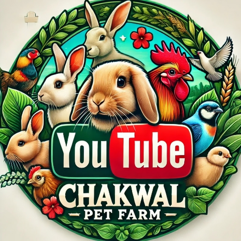 Chakwal pet farm 