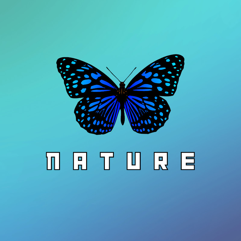 Ambient Nature 1M