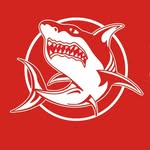 Sorrento Sharks FNC