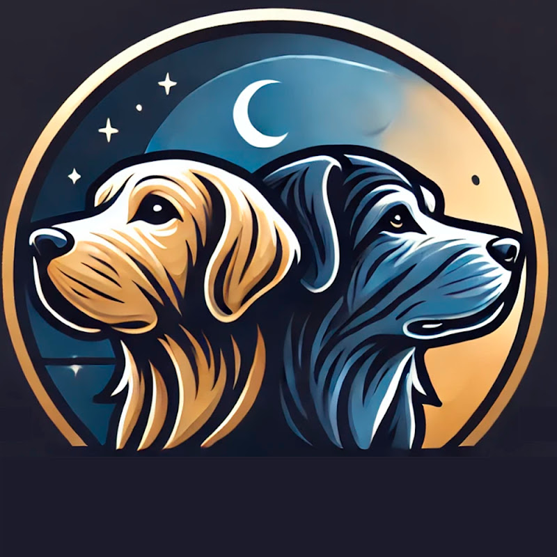 Yango y Simba : Lecciones de Vida