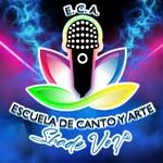 ESCUELA DE CANTO Y ARTE SHADE VOZ