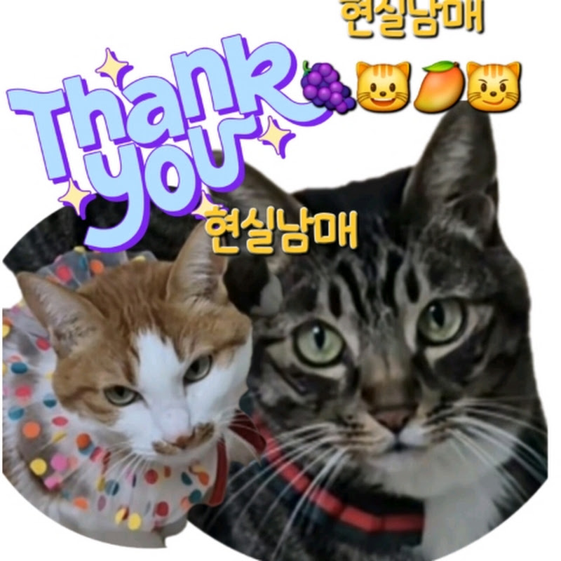 지니와 🍇포도🥭망고