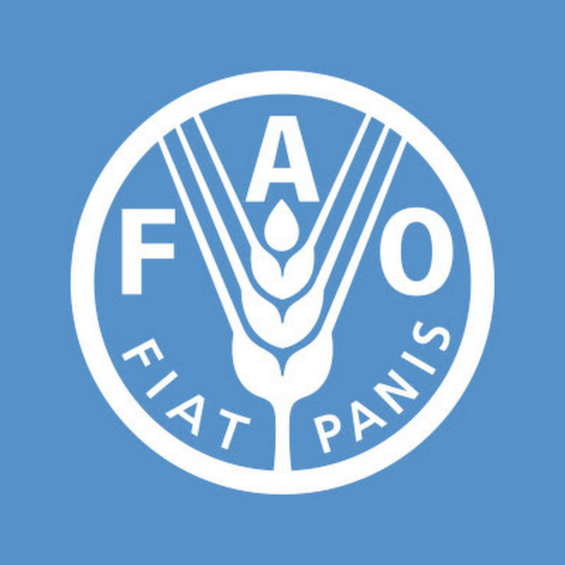 Food and Agriculture Organization of the United Nations