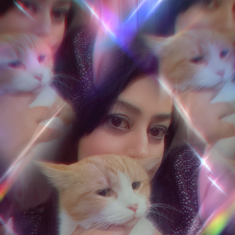 Neeli Meow