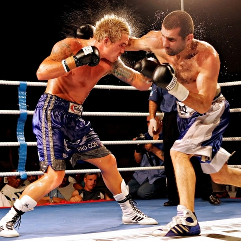 Contender Boxer's 