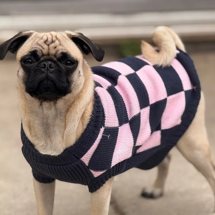 ms.chloebelle