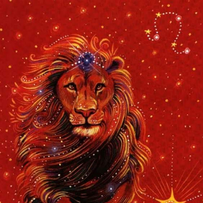 LionsPride🦁Let's Walk & Talk Original
