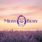 Messy Bessy