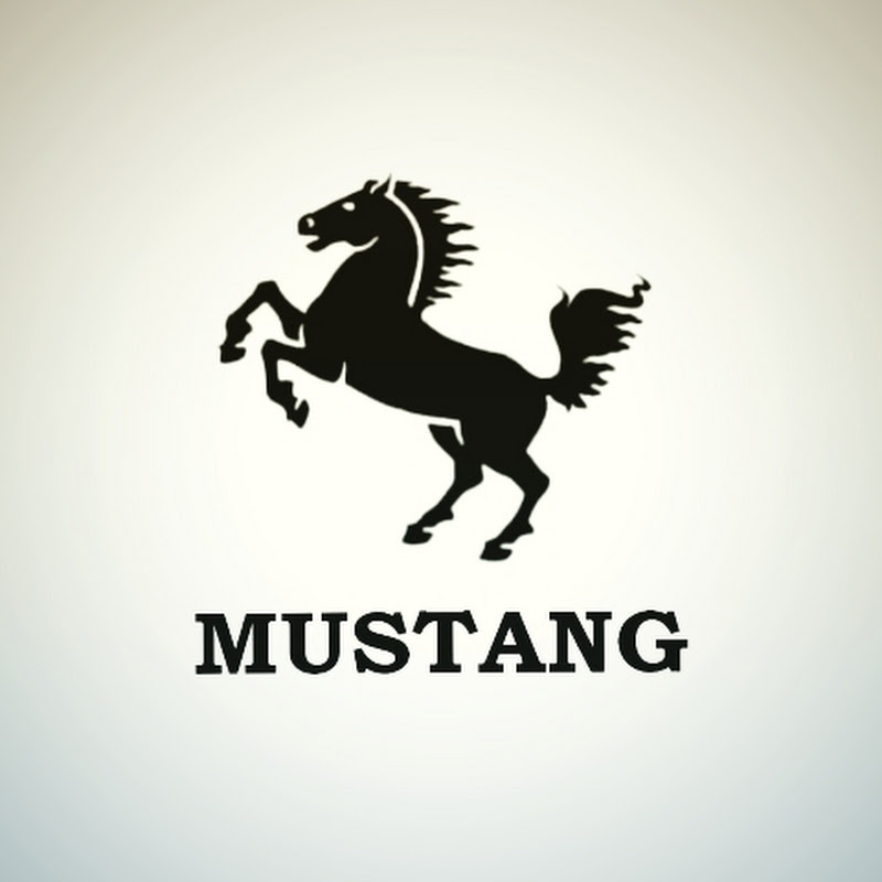 MUSTANG GRANULYATOR VA DROBILKALAR OLAMI