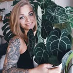 PlantyTatts