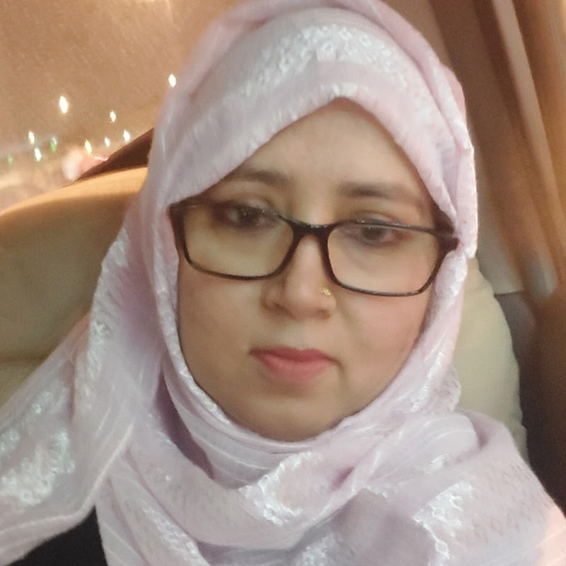 mishu vlogs and shorts