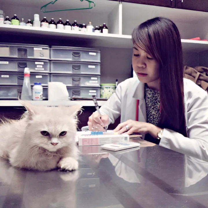 doc.wink