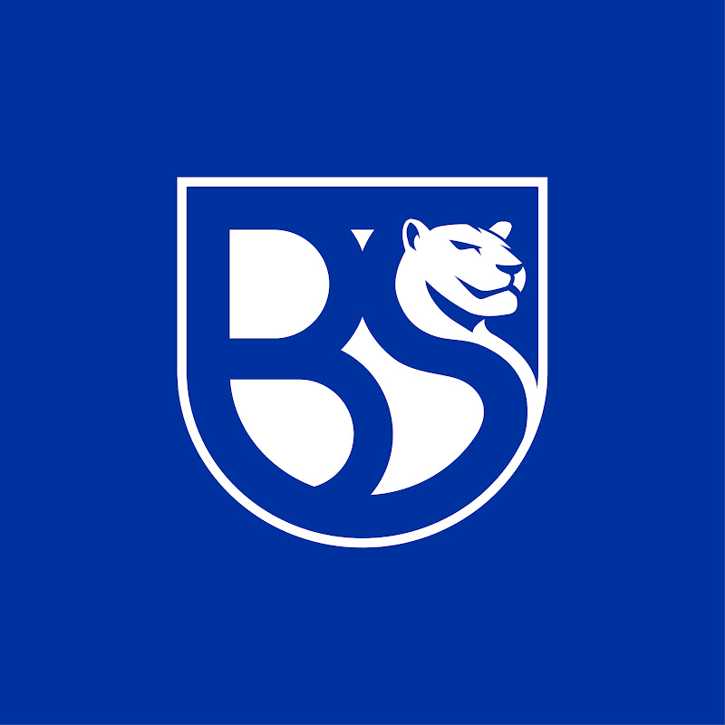 UNION BRESCIA TV