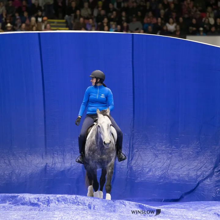 Lindsey Partridge Equestrian