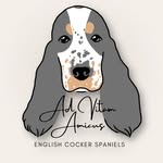 𝗔𝗱 𝘃𝗶𝘁𝗮𝗺 𝗮𝗺𝗶𝗰𝘂𝘀 - English cocker spaniel kennel