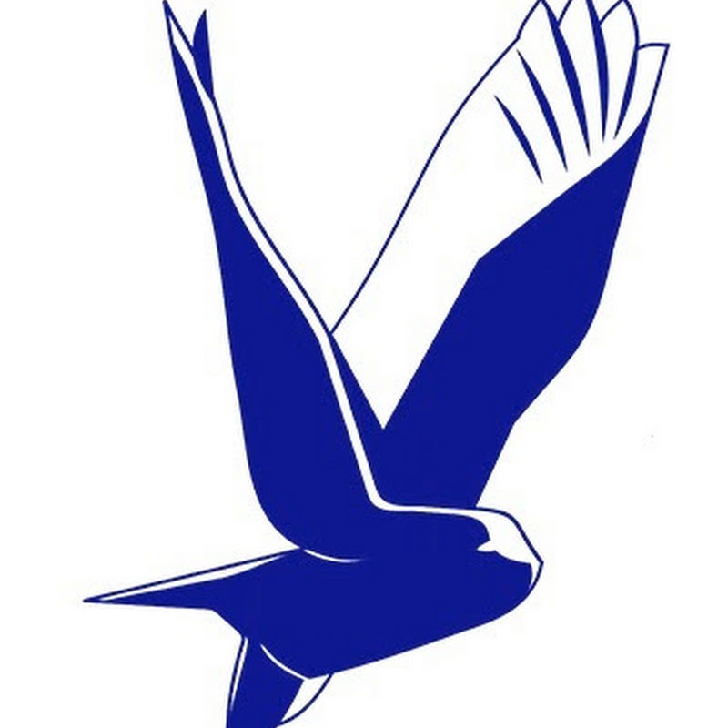 Polar Bird / Снегирь