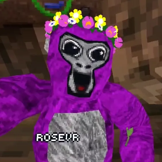 🌹Rose VR🌹
