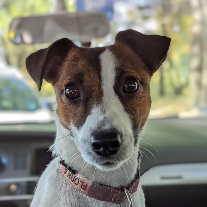 florka.jrt