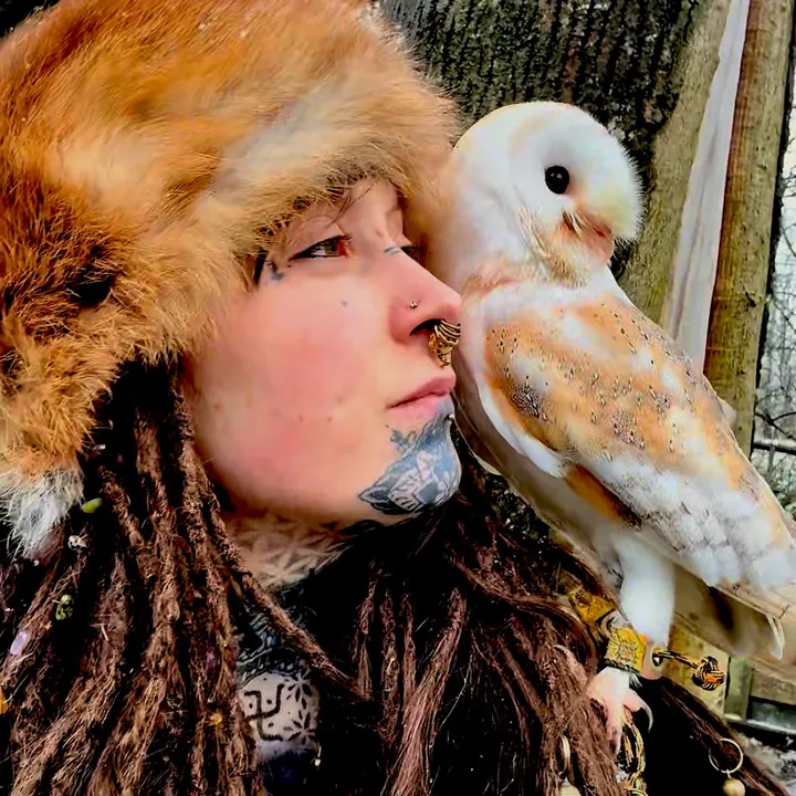 Moon mischief 🦉🌙