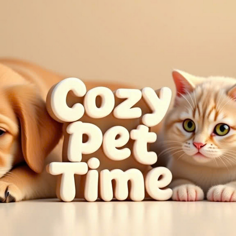 Cozy Pet Time