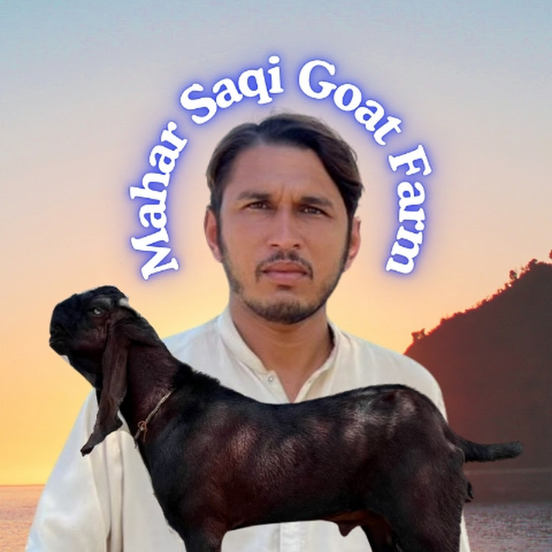 Mahar Saqi Goat Farm