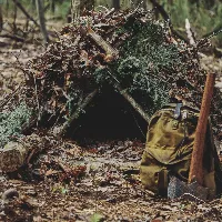 wilderness shelter