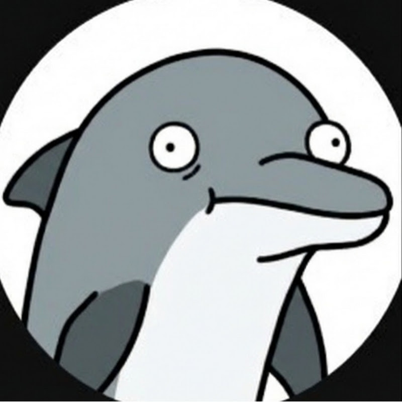 Dolphin Explain