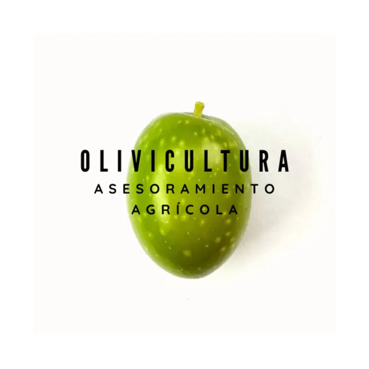 OLIVICULTURA ASESOR