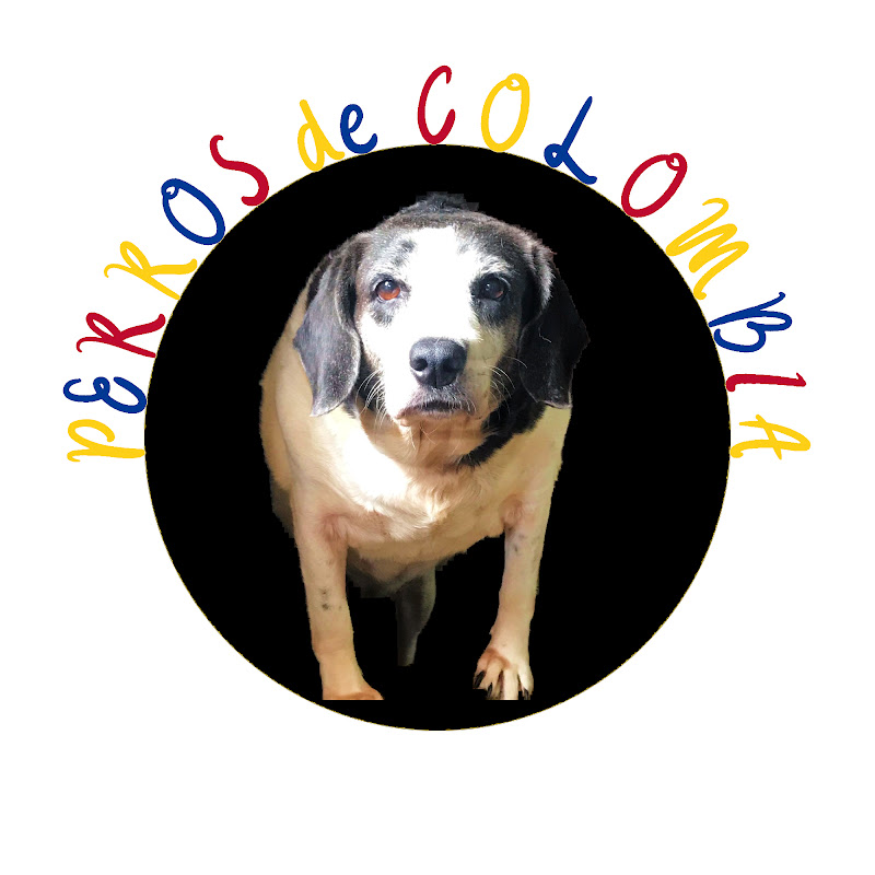 Perros de Colombia