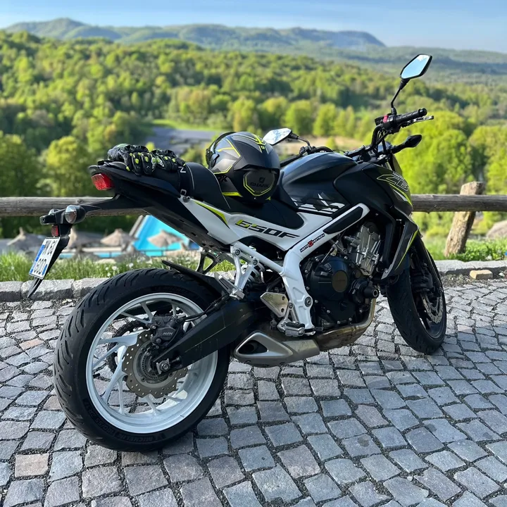flaviu870