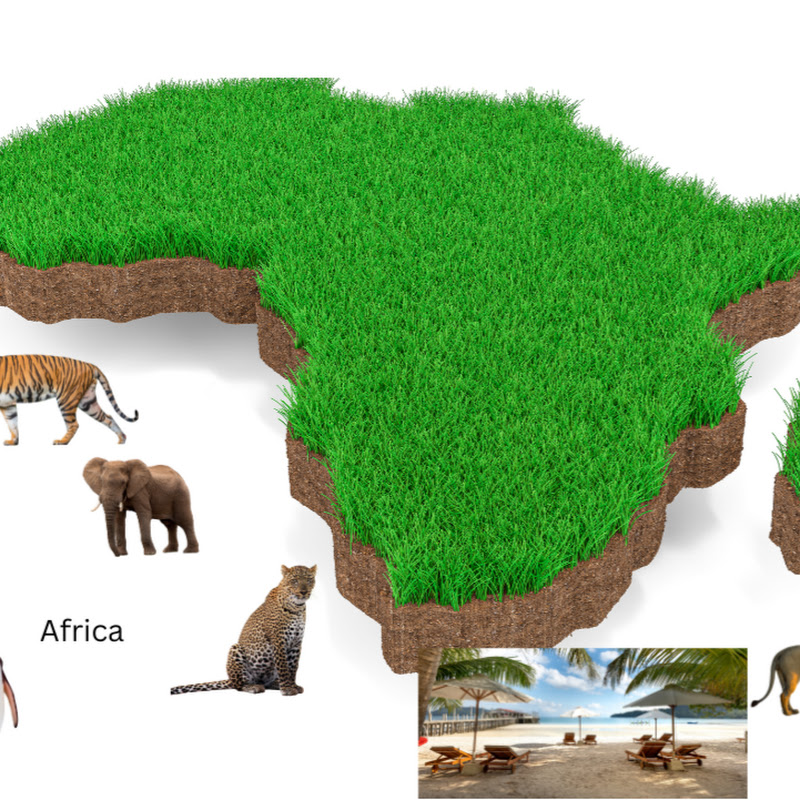 Majestic Africa Journeys