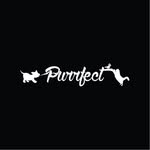 Purrfect Furry Fellows