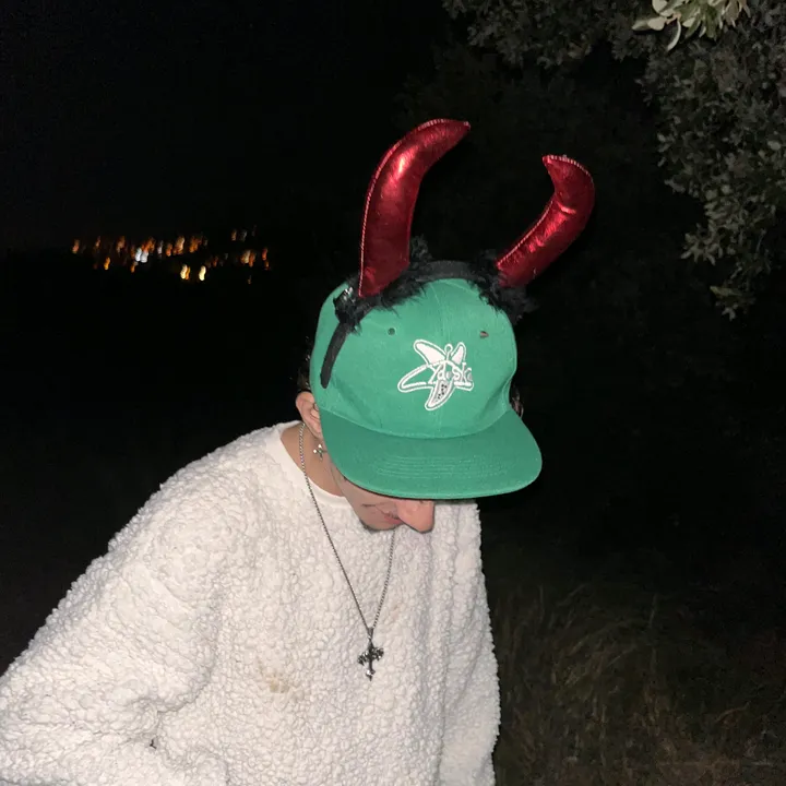 the_f.r.a.n.c.i.s_11