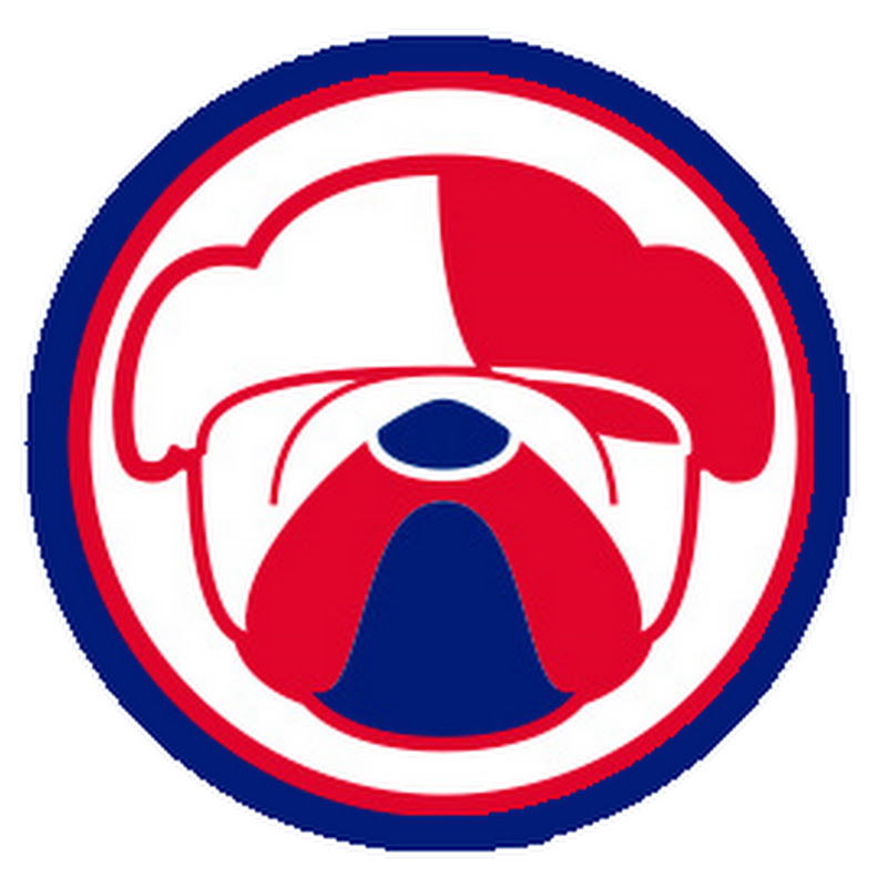 Bulldogz English Academy