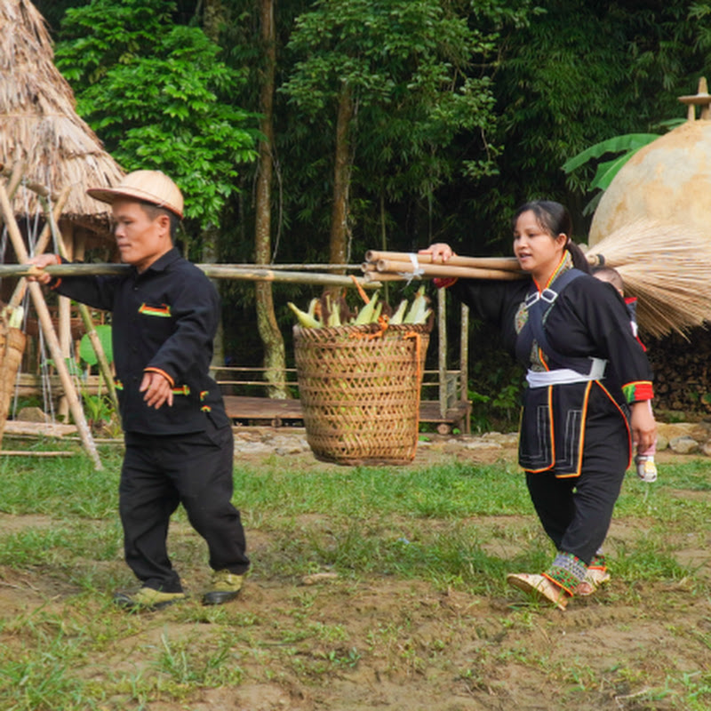 Phong Family Life