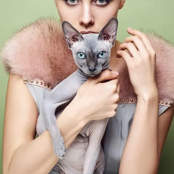 Diana Ciortan Sphynx Romania